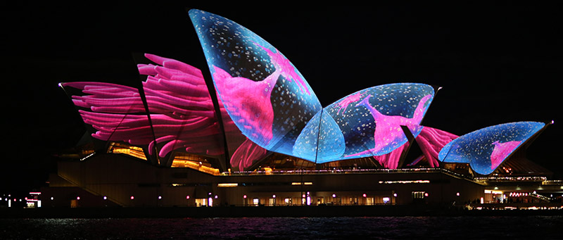 Sydney Opera House beautifully lit up.