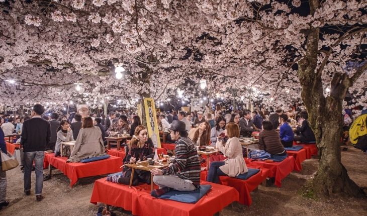 Cherry Blossom Festival