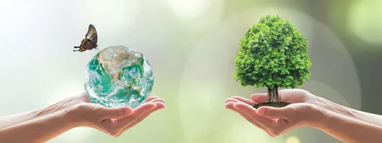 Sustainability on a Shoestring: Six Ways Students Can Save the Planet (and Money!)