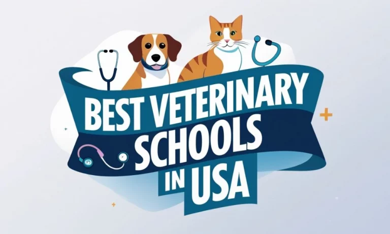 Best Veterinary Schools in the US: Admissions, Courses, Rankings, Acceptance Rates, and More 7 Best Veterinary Schools in the US: Admissions, Courses, Rankings, Acceptance Rates, and More